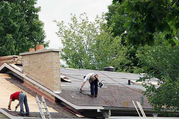 Roof Gutter Cleaning in Astor, FL